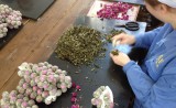 руководство компании посетило производство чая в Китае - фото - 10